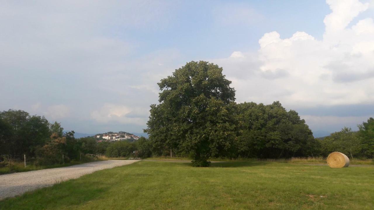 Vila Salamander Stanjel Exterior photo